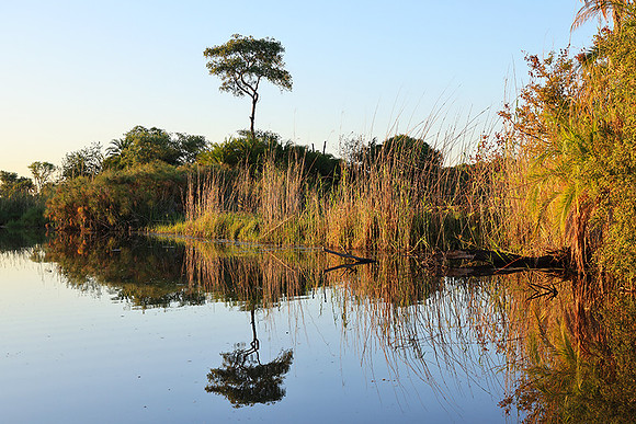 Delta of Okavango