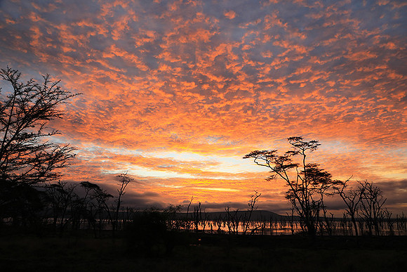 Lake Nakuru - sunrise