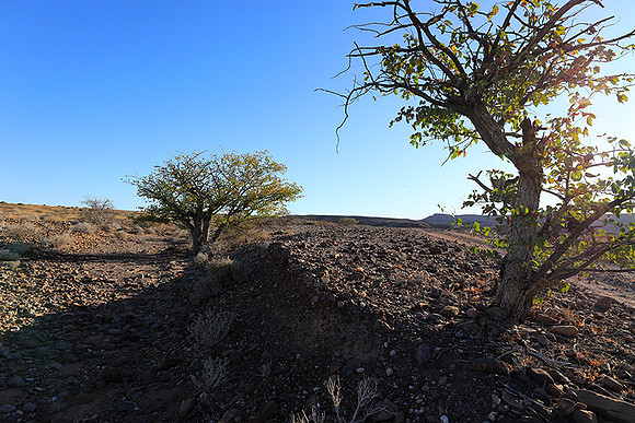 Damaraland