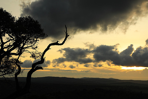 Sunset - Borana
