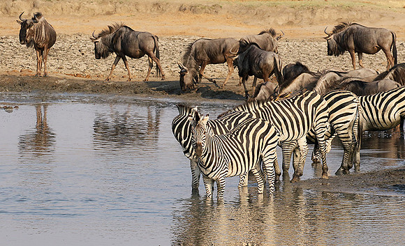 Hwange National Park