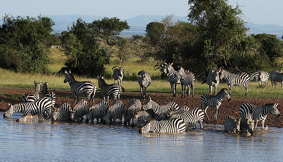 Serengeti - Grumeti Private Reserve