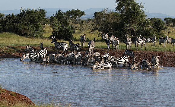 Serengeti - Grumeti Private Reserve