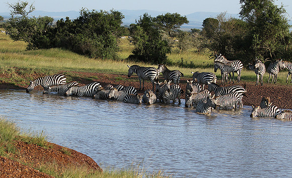 Serengeti - Grumeti Private Reserve