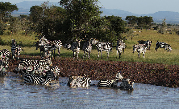 Serengeti - Grumeti Private Reserve