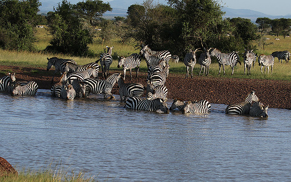Serengeti - Grumeti Private Reserve