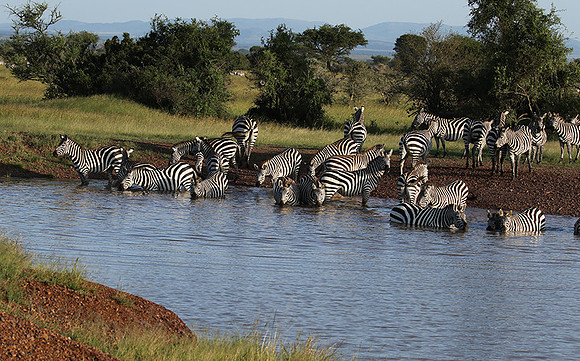 Serengeti - Grumeti Private Reserve