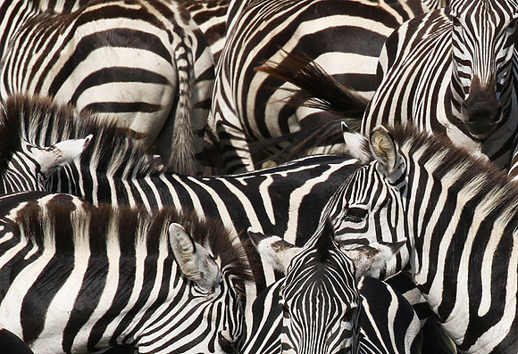 Serengeti - Grumeti Private Reserve