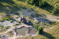 Elephnts - Delta Okavango