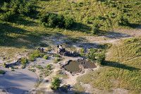 Elephnts - Delta Okavango