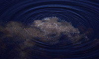 Delta of Okavango