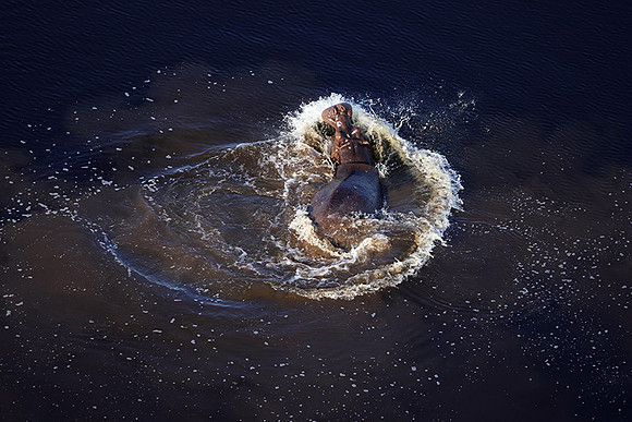 Delta of Okavango