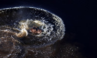 Delta of Okavango