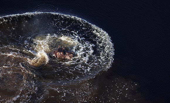 Delta of Okavango