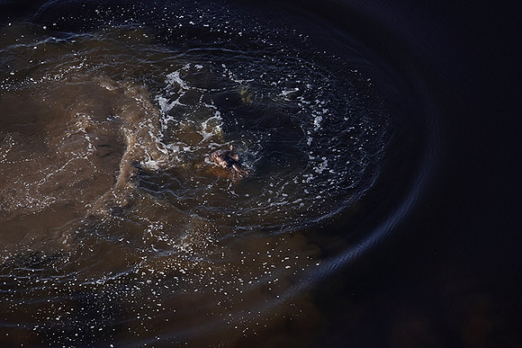 Delta of Okavango