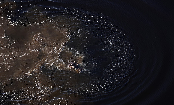 Delta of Okavango