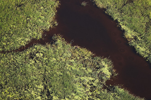 Delta of Okavango