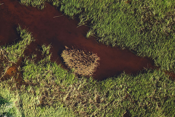 Delta of Okavango