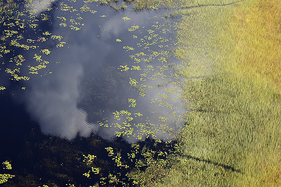 Delta of Okavango