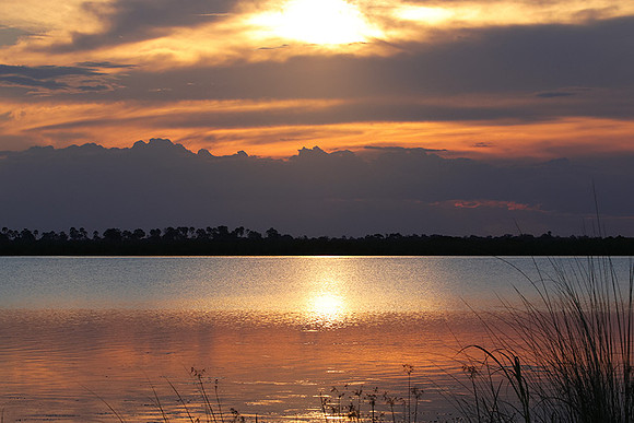 Sunset - Savuti