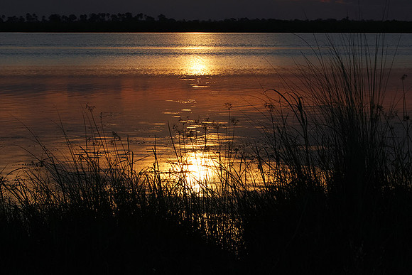 Sunset - Savuti