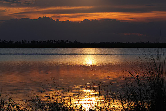 Sunset - Savuti