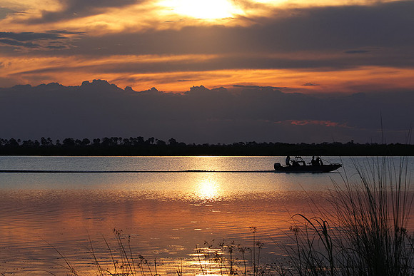 Sunset - Savuti