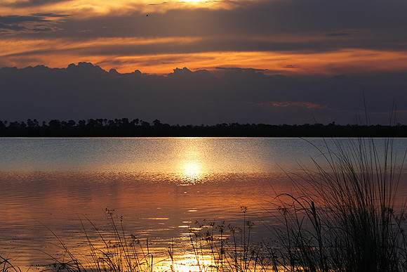 Sunset - Savuti
