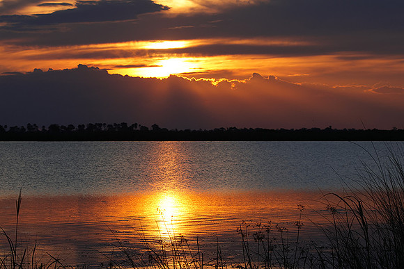 Sunset - Savuti