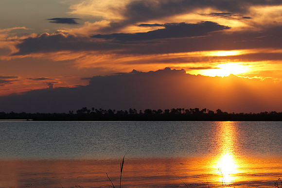Sunset - Savuti