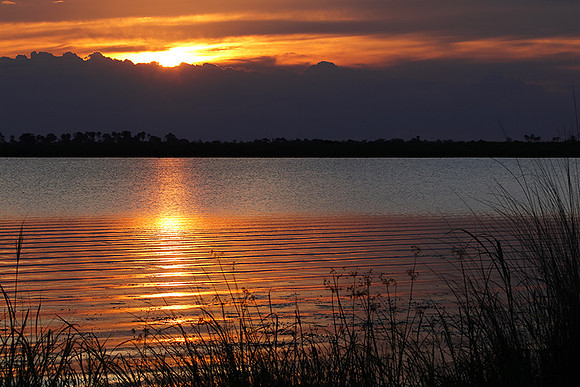 Sunset - Savuti