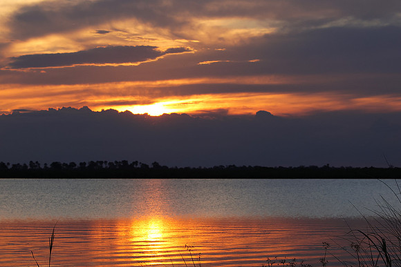 Sunset - Savuti