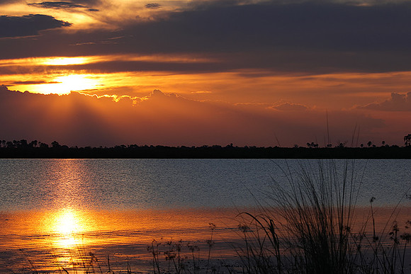 Sunset - Savuti