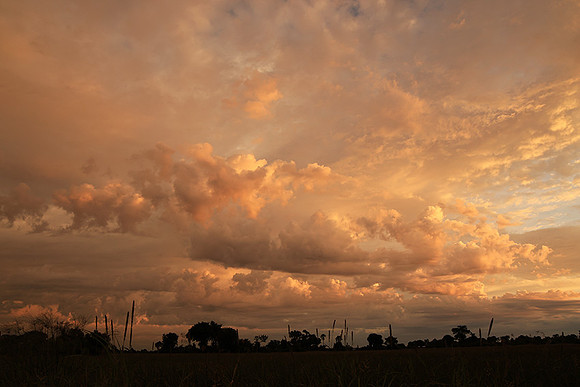 Sunrise - Jacana
