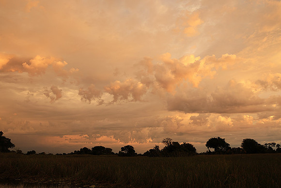 Sunrise - Jacana