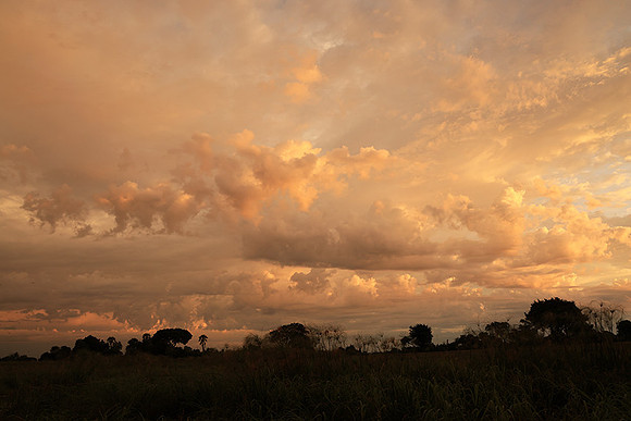 Sunrise - Jacana