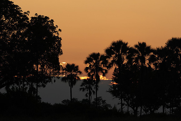 Sunrise - Jacana