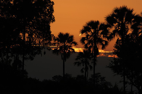 Sunrise - Jacana