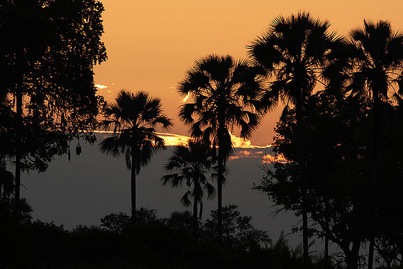 Sunrise - Jacana