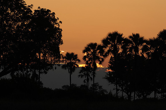 Sunrise - Jacana