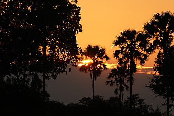 Sunrise - Jacana
