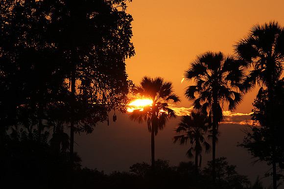 Sunrise - Jacana
