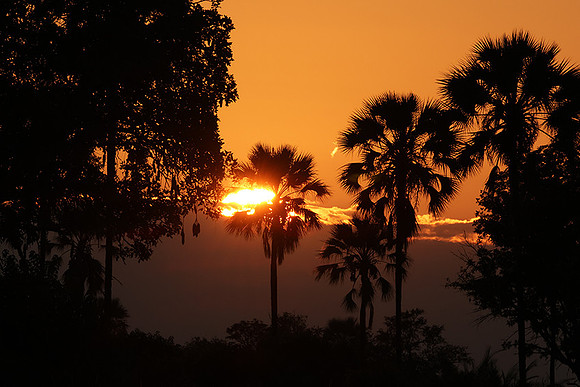 Sunrise - Jacana