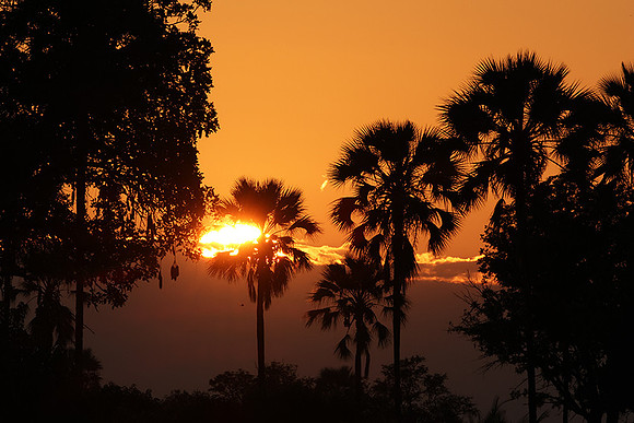 Sunrise - Jacana