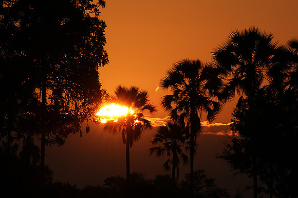 Sunrise - Jacana