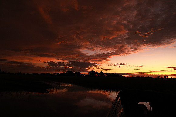 Sunrise - Jacana