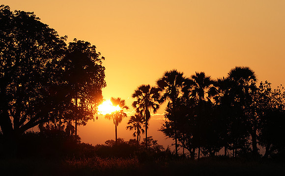 Sunrise - Jacana
