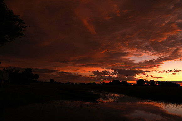Sunrise - Jacana