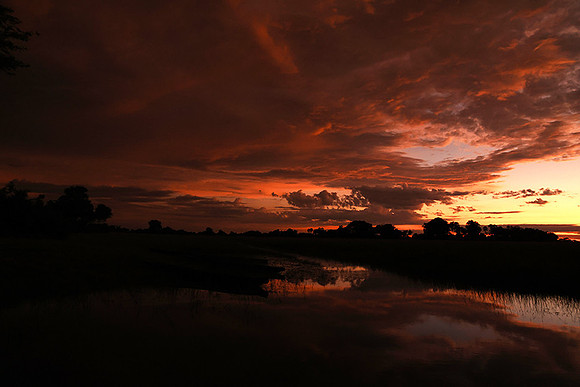 Sunrise - Jacana