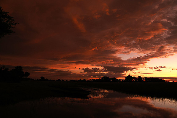 Sunrise - Jacana